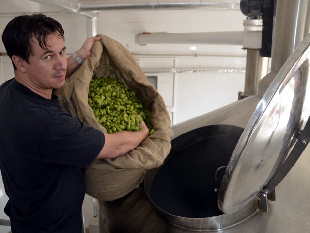 Pro velký zájem navařili letos v Kynšperském pivovaru o várku zeleného piva navíc [p1184]